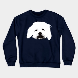 Coton de Tulear - Coton Christmas Gifts Crewneck Sweatshirt